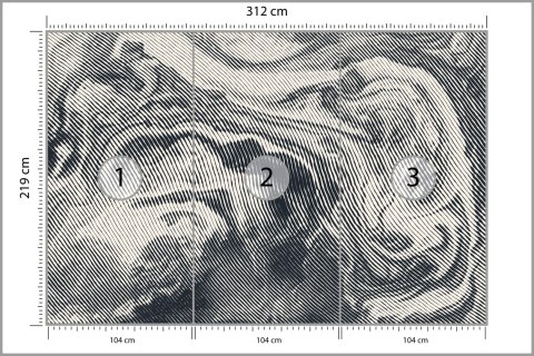 Fototapeta Abstract Halftone Background, Retro Engraving Style. Flizelina 312x219 FT-448546-VEXXL