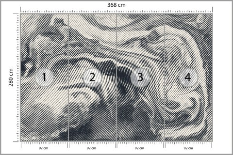 Fototapeta Abstract Halftone Background, Retro Engraving Style. Tapeta Samoprzylepna 368x280 FT-448546-SK10