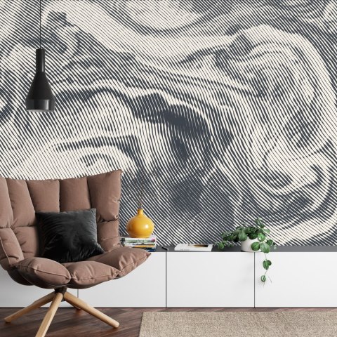 Fototapeta Abstract Halftone Background, Retro Engraving Style. Tapeta Samoprzylepna 416x254 FT-448546-SKXXXL