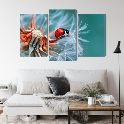 Obraz Wieloczęściowy Biedronka Na Mniszku Lekarskim W Skali Makro Canvas 150x100 LBS-3644-C150-100_1X50-100_2X50-75