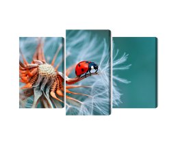 Obraz Wieloczęściowy Biedronka Na Mniszku Lekarskim W Skali Makro Canvas Naturalny 150x100 LBS-3644-NC150-100_1X50-100_2X50-75