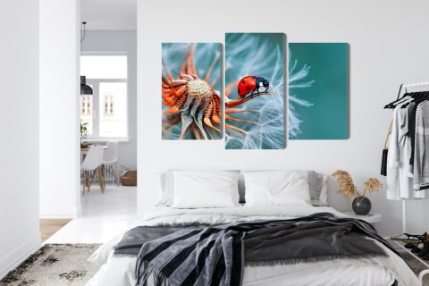 Obraz Wieloczęściowy Biedronka Na Mniszku Lekarskim W Skali Makro Canvas Naturalny 150x100 LBS-3644-NC150-100_1X50-100_2X50-75