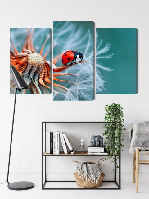 Obraz Wieloczęściowy Biedronka Na Mniszku Lekarskim W Skali Makro Canvas Naturalny 180x120 LBS-3644-NC180-120_1X60-120_2X60-90