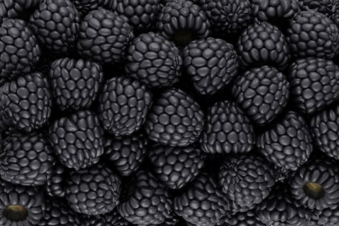 Obraz Wieloczęściowy Jeżyny W Skali Makro Canvas 180x120 LBS-3949-C180-120_1X60-120_2X60-90