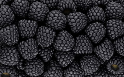 Obraz Wieloczęściowy Jeżyny W Skali Makro Canvas 240x150 LBS-3954-C240-150_2X60-150_2X60-90