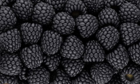 Obraz Wieloczęściowy Jeżyny W Skali Makro Canvas 250x150 LBS-3951-C250-150_1X50-150_2X50-100_2X50-50