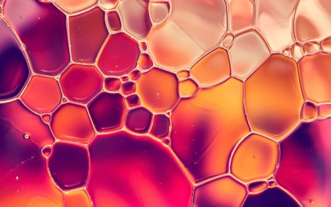 Obraz Wieloczęściowy Krople Wody W Skali Makro Canvas 240x150 LBS-3661-C240-150_2X60-150_2X60-90