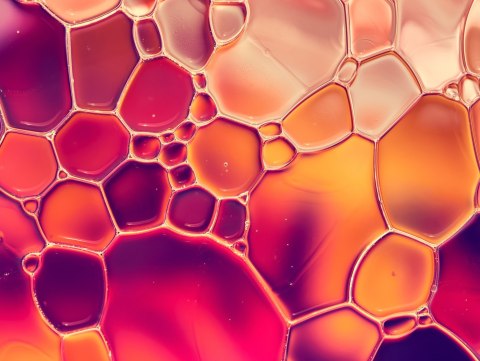 Obraz Wieloczęściowy Krople Wody W Skali Makro Canvas Naturalny 160x120 LBS-3660-NC160-120_2X40-120_2X40-80