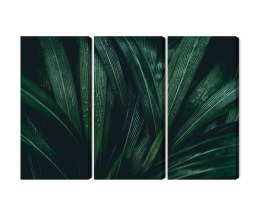 Obraz Wieloczęściowy Liście Ciemnozielone W Skali Makro Canvas 150x100 LBS-3723-C150-100_3X50-100