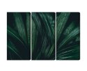 Obraz Wieloczęściowy Liście Ciemnozielone W Skali Makro Canvas 180x120 LBS-3723-C180-120_3X60-120
