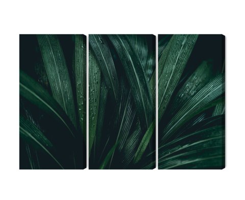 Obraz Wieloczęściowy Liście Ciemnozielone W Skali Makro Canvas Naturalny 120x80 LBS-3723-NC120-80_3X40-80