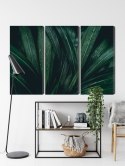 Obraz Wieloczęściowy Liście Ciemnozielone W Skali Makro Canvas Naturalny 150x100 LBS-3723-NC150-100_3X50-100