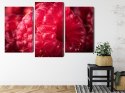 Obraz Wieloczęściowy Maliny W Skali Makro Canvas 180x120 LBS-3928-C180-120_1X60-120_2X60-90