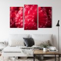 Obraz Wieloczęściowy Maliny W Skali Makro Canvas Naturalny 120x80 LBS-3928-NC120-80_1X40-80_2X40-60