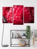 Obraz Wieloczęściowy Maliny W Skali Makro Canvas Naturalny 120x80 LBS-3928-NC120-80_1X40-80_2X40-60