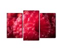Obraz Wieloczęściowy Maliny W Skali Makro Canvas Naturalny 150x100 LBS-3928-NC150-100_1X50-100_2X50-75