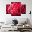 Obraz Wieloczęściowy Maliny W Skali Makro Canvas Naturalny 200x150 LBS-3924-NC200-150_2X50-150_2X50-100