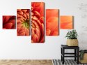 Obraz Wieloczęściowy Pomarańczowa Chryzantema W Skali Makro Canvas 200x120 LBS-3702-C200-120_1X40-120_2X40-80_2X40-40