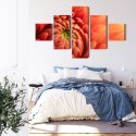 Obraz Wieloczęściowy Pomarańczowa Chryzantema W Skali Makro Canvas Naturalny 150x90 LBS-3702-NC150-90_1X30-90_2X30-60_2X30-30
