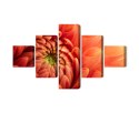Obraz Wieloczęściowy Pomarańczowa Chryzantema W Skali Makro Canvas Naturalny 200x120 LBS-3702-NC200-120_1X40-120_2X40-80_2X40-4