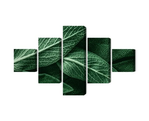 Obraz Wieloczęściowy Szałwia Odchodzi W Skali Makro Canvas 250x150 LBS-3812-C250-150_1X50-150_2X50-100_2X50-50