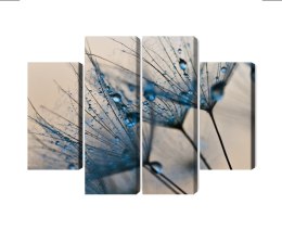 Obraz Wieloczęściowy Mlecze Z Kropelkami Wody W Skali Makro Canvas Naturalny 120x90 LBS-3685-NC120-90_2X30-90_2X30-60