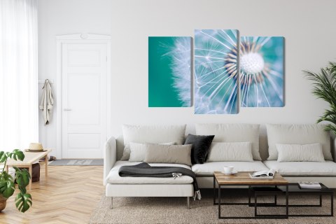 Obraz Wieloczęściowy Mniszek Lekarski W Skali Makro Canvas Naturalny 150x100 LBS-3719-NC150-100_1X50-100_2X50-75