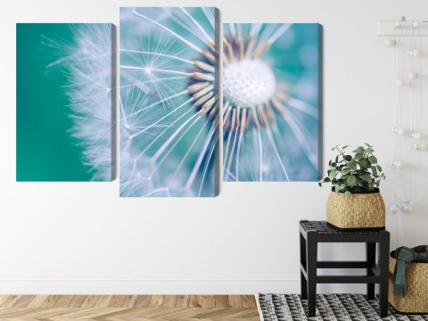 Obraz Wieloczęściowy Mniszek Lekarski W Skali Makro Canvas Naturalny 150x100 LBS-3719-NC150-100_1X50-100_2X50-75