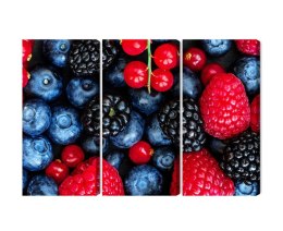 Obraz Wieloczęściowy Owoce Leśne W Skali Makro Canvas Naturalny 120x80 LBS-3728-NC120-80_3X40-80