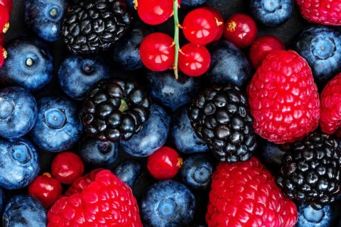 Obraz Wieloczęściowy Owoce Leśne W Skali Makro Canvas Naturalny 120x80 LBS-3729-NC120-80_1X40-80_2X40-60