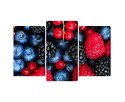 Obraz Wieloczęściowy Owoce Leśne W Skali Makro Canvas Naturalny 150x100 LBS-3729-NC150-100_1X50-100_2X50-75