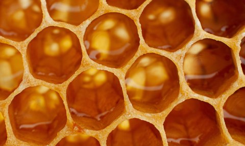 Obraz Wieloczęściowy Plaster Miodu W Skali Makro Canvas 200x120 LBS-3737-C200-120_1X40-120_2X40-80_2X40-40