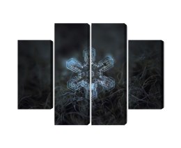 Obraz Wieloczęściowy Płatek Śniegu W Makroskali 3D Canvas Naturalny 160x120 LBS-3835-NC160-120_2X40-120_2X40-80