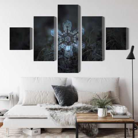 Obraz Wieloczęściowy Płatek Śniegu W Makroskali 3D Canvas Naturalny 200x120 LBS-3837-NC200-120_1X40-120_2X40-80_2X40-40