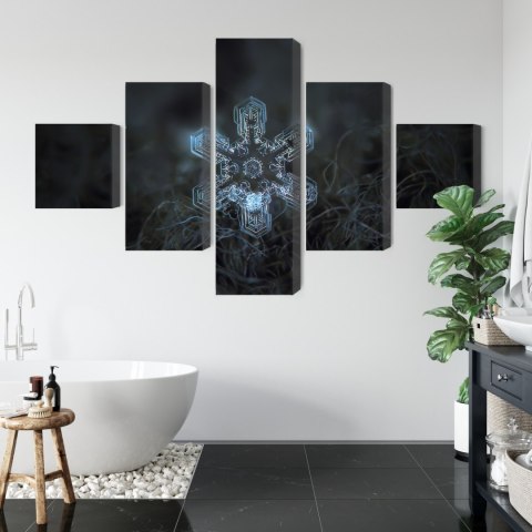 Obraz Wieloczęściowy Płatek Śniegu W Makroskali 3D Canvas Naturalny 200x120 LBS-3837-NC200-120_1X40-120_2X40-80_2X40-40