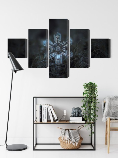 Obraz Wieloczęściowy Płatek Śniegu W Makroskali 3D Canvas Naturalny 200x120 LBS-3837-NC200-120_1X40-120_2X40-80_2X40-40