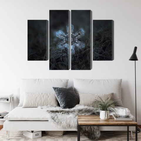 Obraz Wieloczęściowy Płatek Śniegu W Makroskali 3D Canvas Naturalny 200x150 LBS-3835-NC200-150_2X50-150_2X50-100