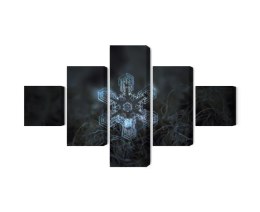 Obraz Wieloczęściowy Płatek Śniegu W Makroskali 3D Canvas Naturalny 250x150 LBS-3837-NC250-150_1X50-150_2X50-100_2X50-50