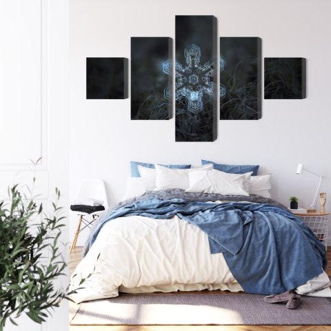 Obraz Wieloczęściowy Płatek Śniegu W Makroskali 3D Canvas Naturalny 250x150 LBS-3837-NC250-150_1X50-150_2X50-100_2X50-50