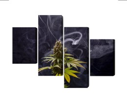 Obraz Wieloczęściowy Roślina Konopi Na Zadymionym Tle Canvas 160x100 LBS-3971-C160-100_2X40-100_2X40-60