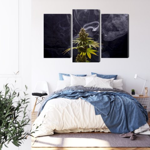 Obraz Wieloczęściowy Roślina Konopi Na Zadymionym Tle Canvas 180x120 LBS-3969-C180-120_1X60-120_2X60-90