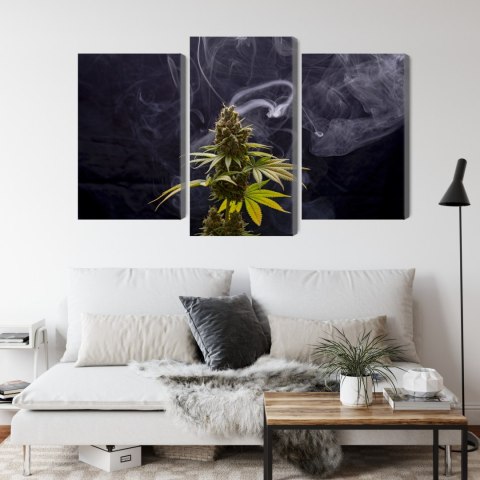 Obraz Wieloczęściowy Roślina Konopi Na Zadymionym Tle Canvas 180x120 LBS-3969-C180-120_1X60-120_2X60-90