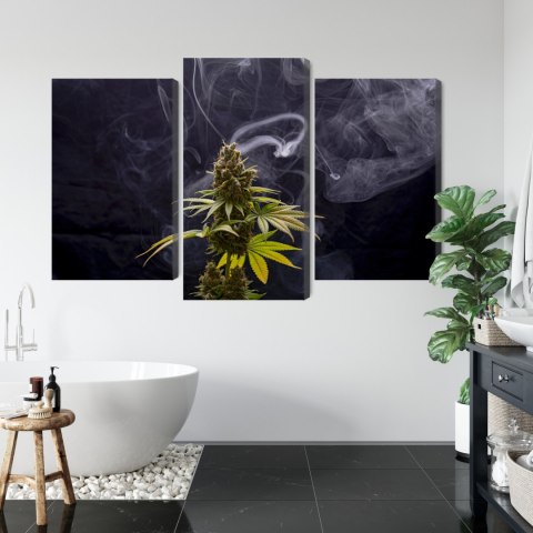 Obraz Wieloczęściowy Roślina Konopi Na Zadymionym Tle Canvas 180x120 LBS-3969-C180-120_1X60-120_2X60-90
