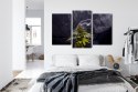 Obraz Wieloczęściowy Roślina Konopi Na Zadymionym Tle Canvas 180x120 LBS-3969-C180-120_1X60-120_2X60-90