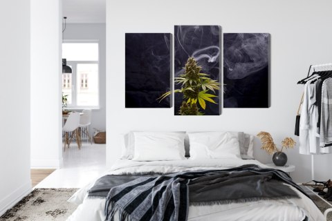 Obraz Wieloczęściowy Roślina Konopi Na Zadymionym Tle Canvas 180x120 LBS-3969-C180-120_1X60-120_2X60-90