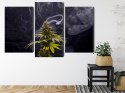 Obraz Wieloczęściowy Roślina Konopi Na Zadymionym Tle Canvas 180x120 LBS-3969-C180-120_1X60-120_2X60-90