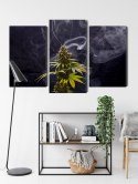 Obraz Wieloczęściowy Roślina Konopi Na Zadymionym Tle Canvas 180x120 LBS-3969-C180-120_1X60-120_2X60-90