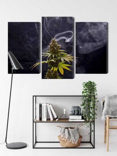 Obraz Wieloczęściowy Roślina Konopi Na Zadymionym Tle Canvas 180x120 LBS-3969-C180-120_1X60-120_2X60-90