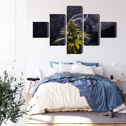 Obraz Wieloczęściowy Roślina Konopi Na Zadymionym Tle Canvas 250x150 LBS-3972-C250-150_1X50-150_2X50-100_2X50-50