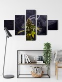 Obraz Wieloczęściowy Roślina Konopi Na Zadymionym Tle Canvas Naturalny 150x90 LBS-3972-NC150-90_1X30-90_2X30-60_2X30-30